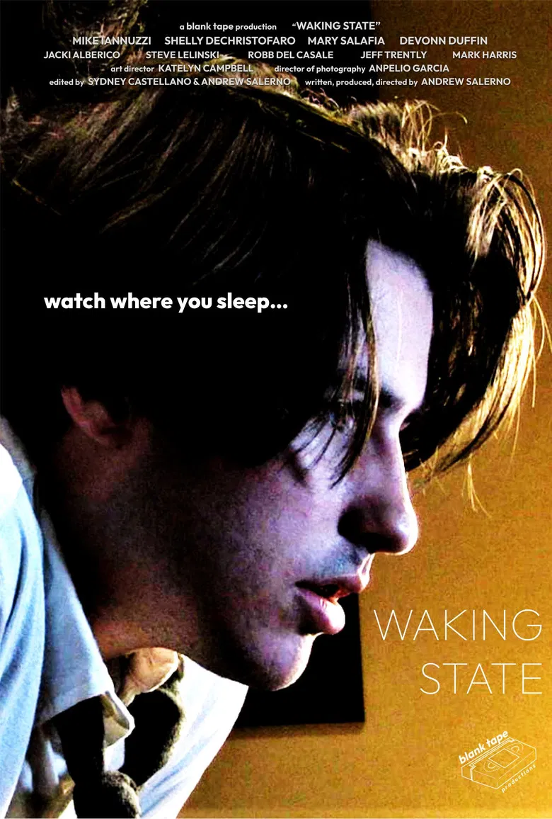 Waking State poster background