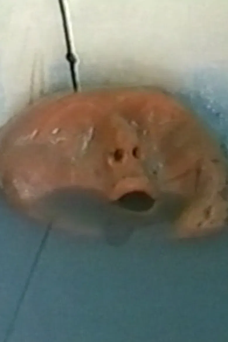 Blue Bath poster background