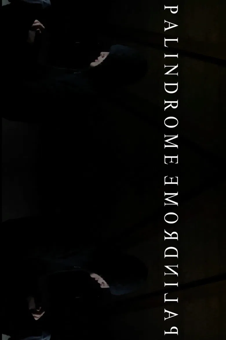 PalindromeemordnilaP poster background