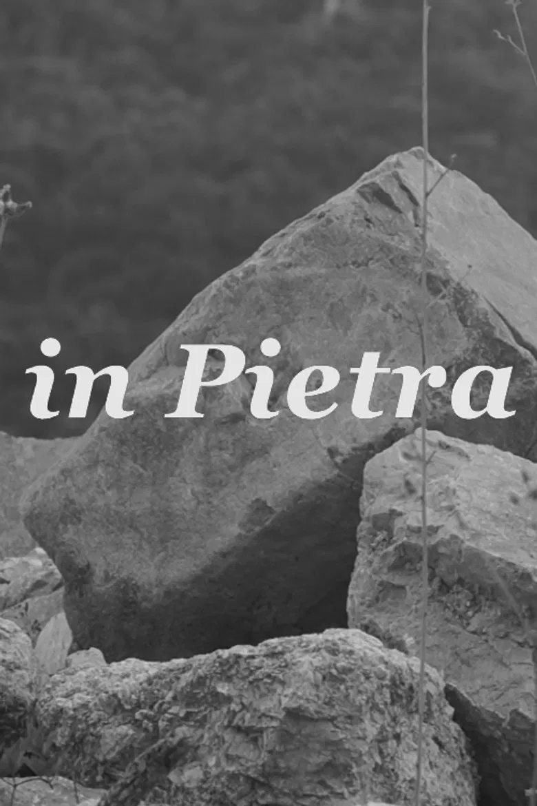 In Pietra poster background