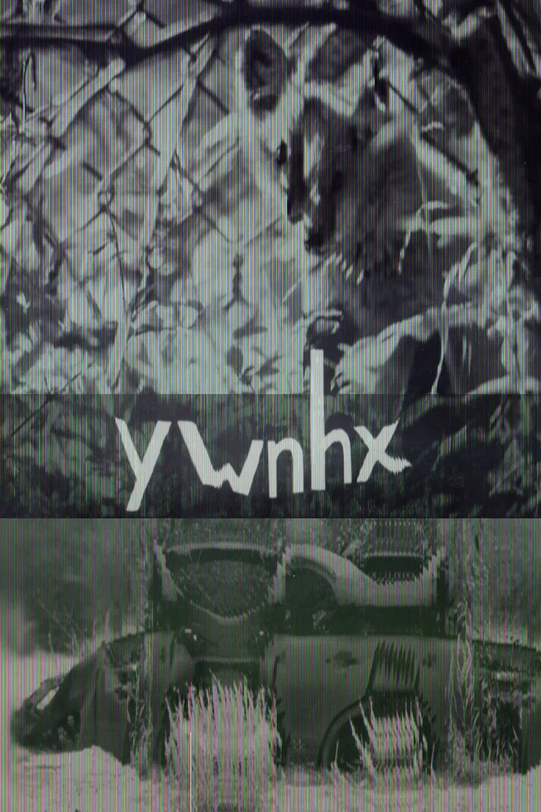 ywnhx poster background