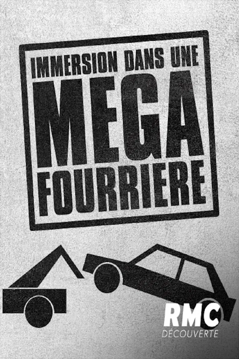 Immersion dans une méga fourrière poster background