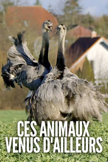 Ces animaux venus d'ailleurs poster background