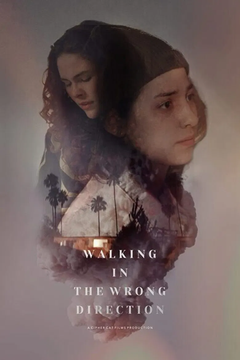 Walking in the Wrong Direction poster background
