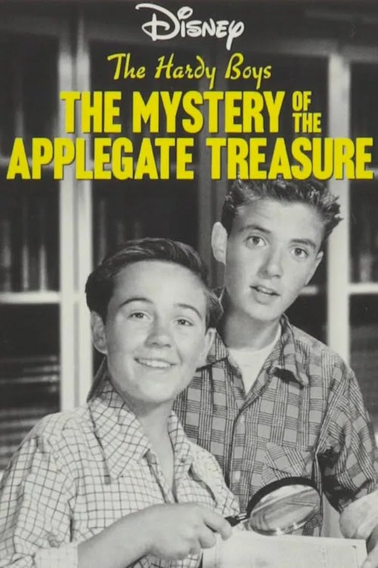 The Hardy Boys: The Mystery of the Applegate Treasure poster background
