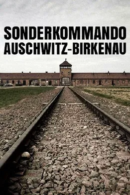 Sonderkommando Auschwitz-Birkenau poster background