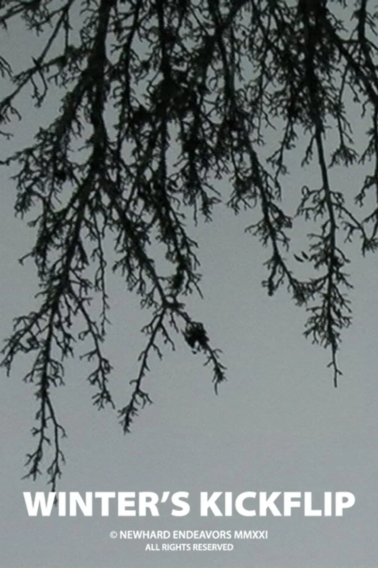 Winter's Kickflip poster background