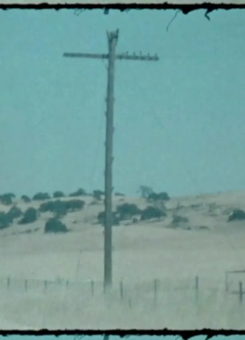 Summer 2017 poster background