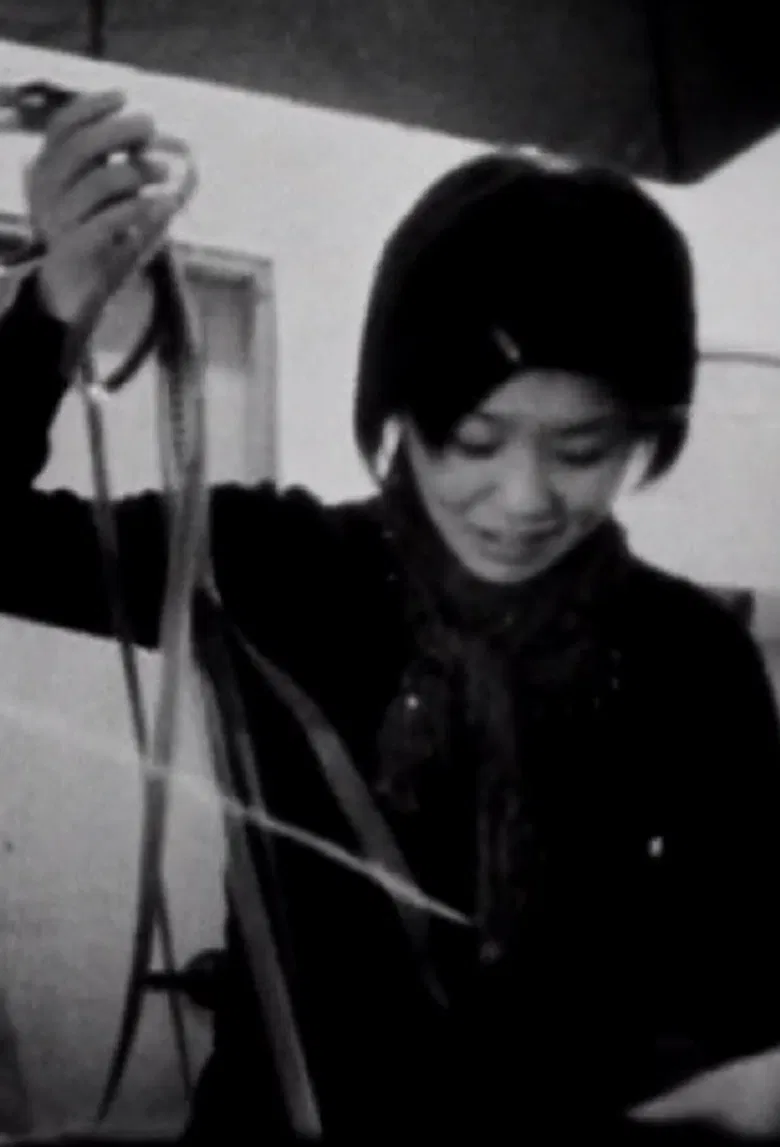 Sugar Coated Film poster background