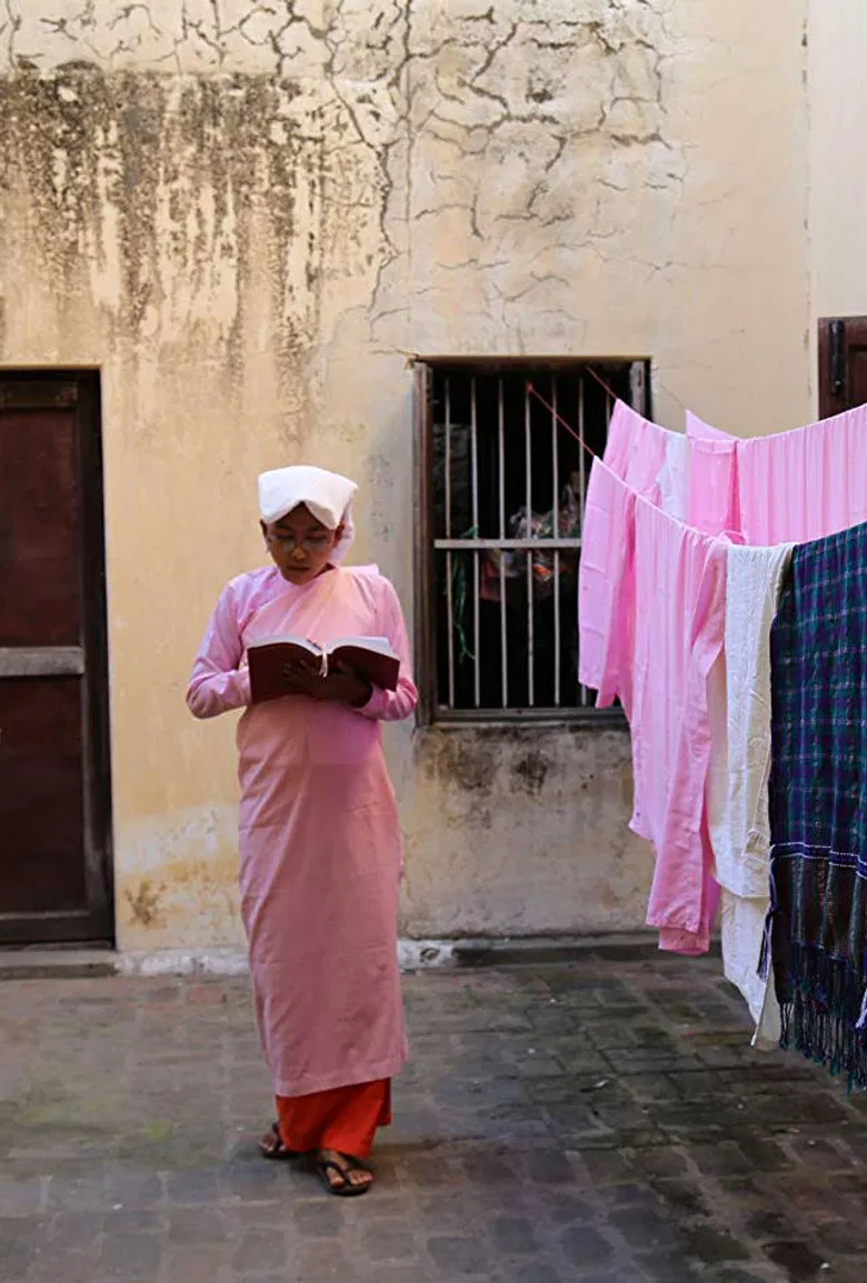 A Thousand Mothers poster background