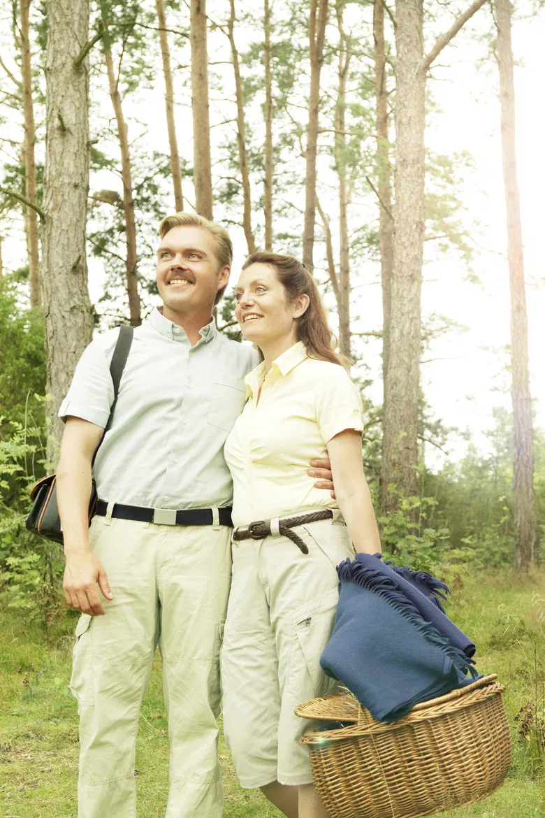 Picnic poster background