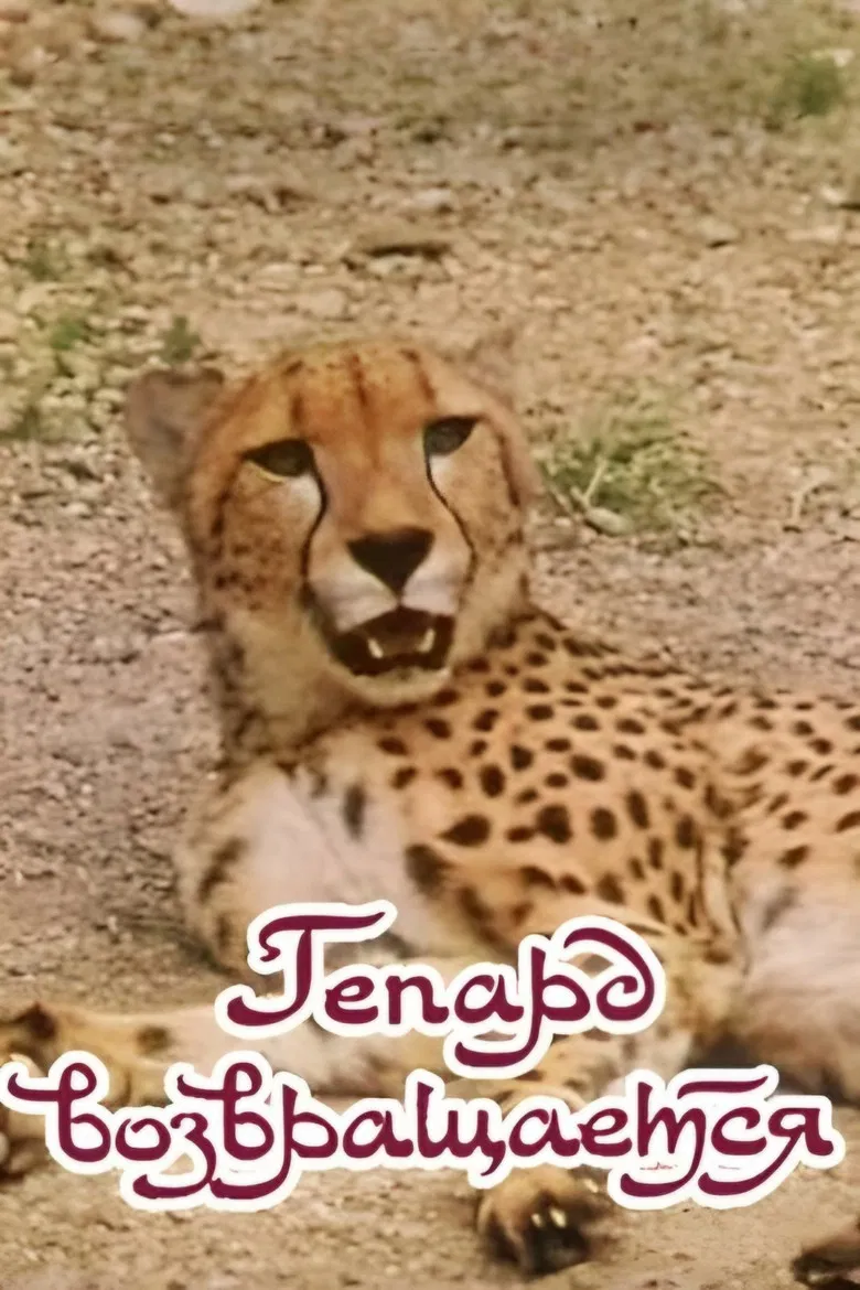 The Cheetah Comes Back poster background