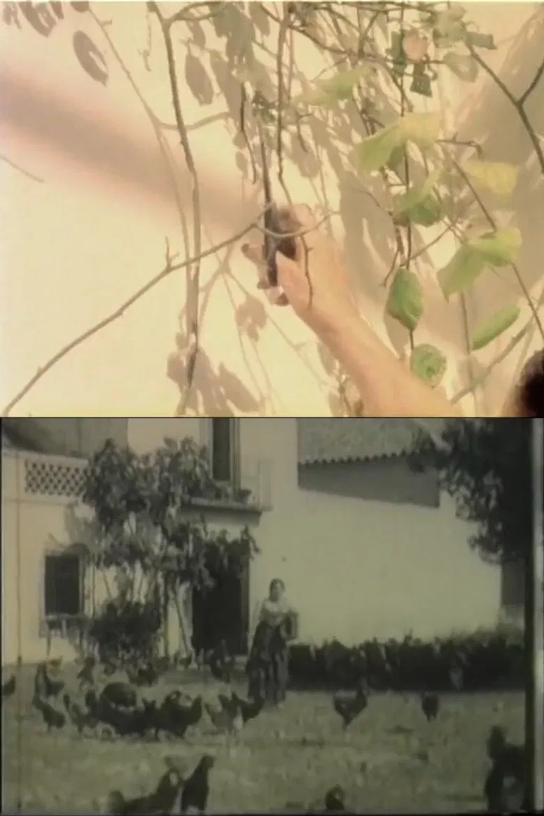 Las flores no quieren viento poster background