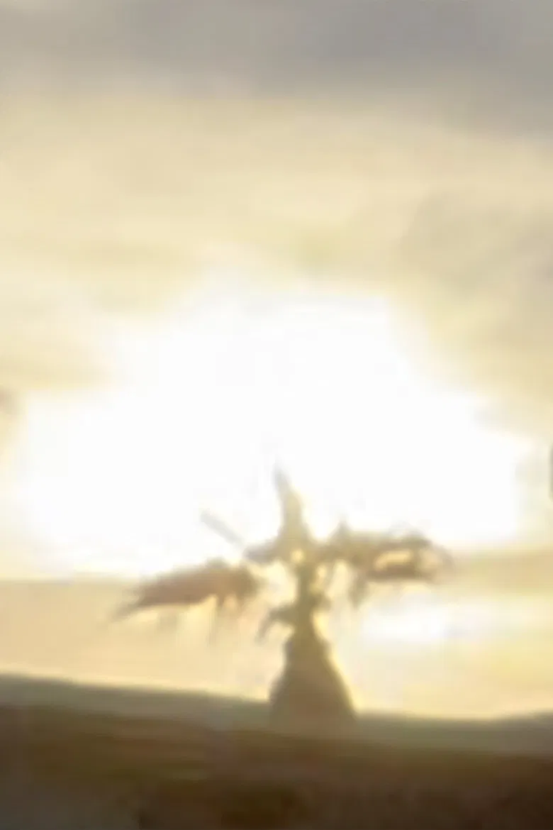 Sunset poster background