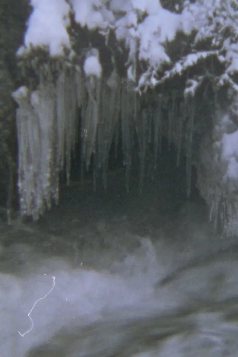 Valle De Lobos poster background