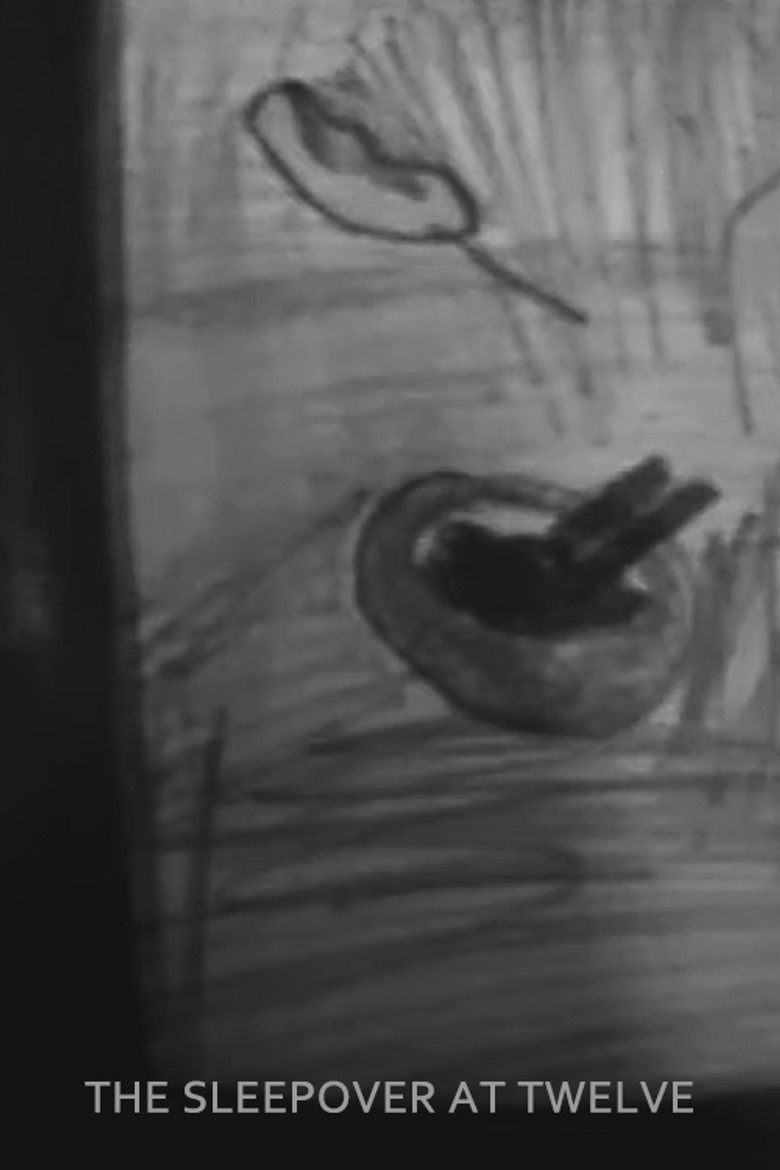 The Sleepover at Twelve poster background