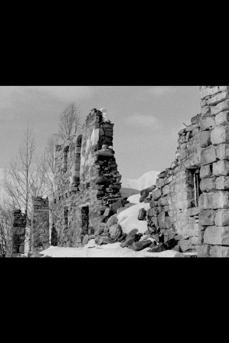 The First Foot poster background