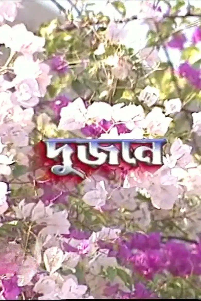 Dujone poster background