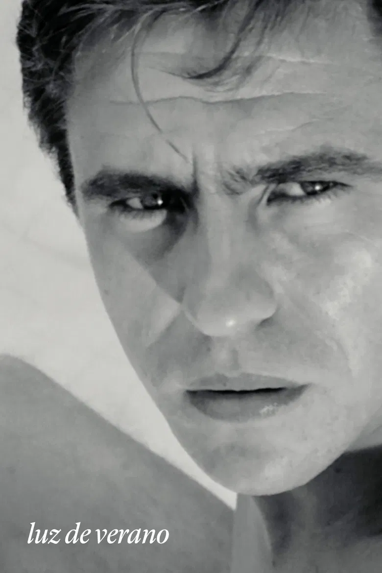 Luz de verano poster background