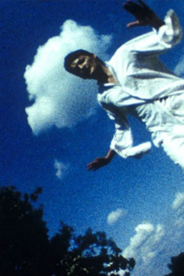 Falling. Desert. Syn poster background