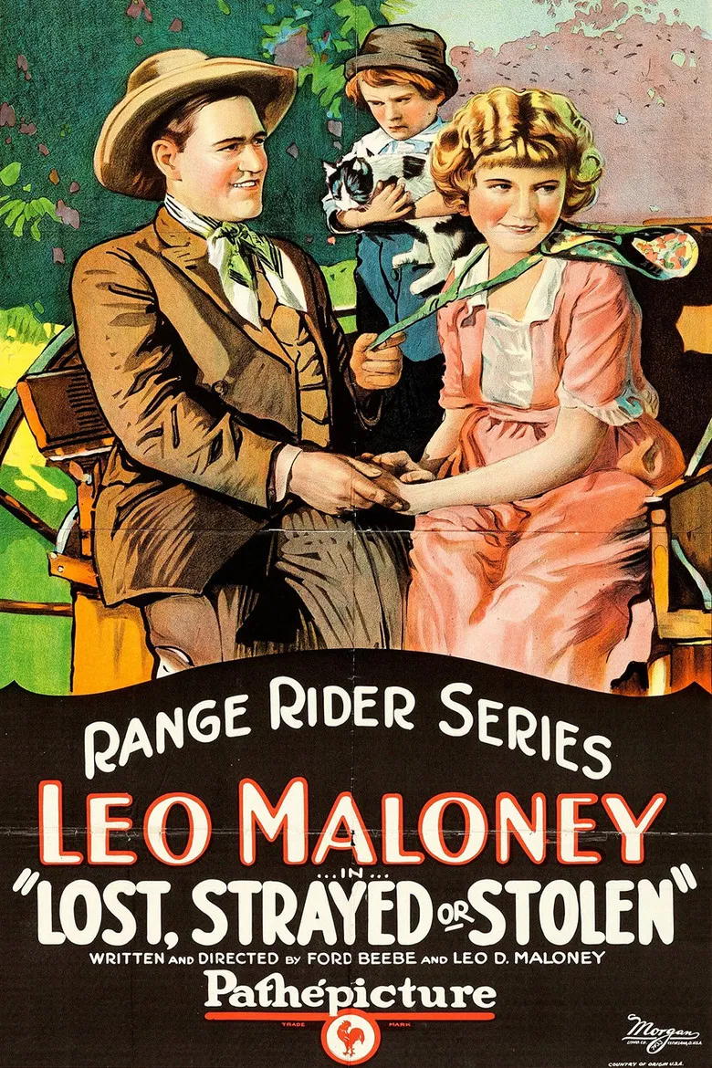 Lost, Strayed or Stolen poster background