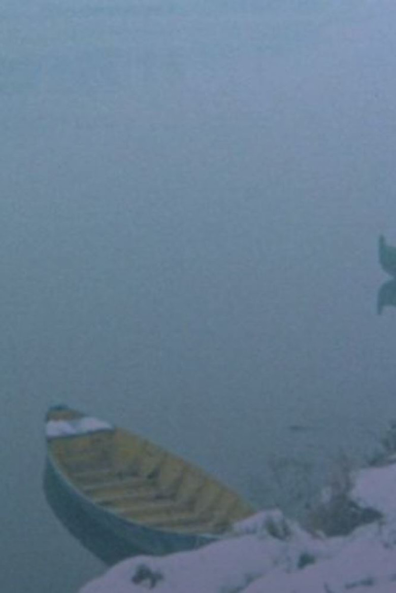 La Grande Adozione di Lodi poster background