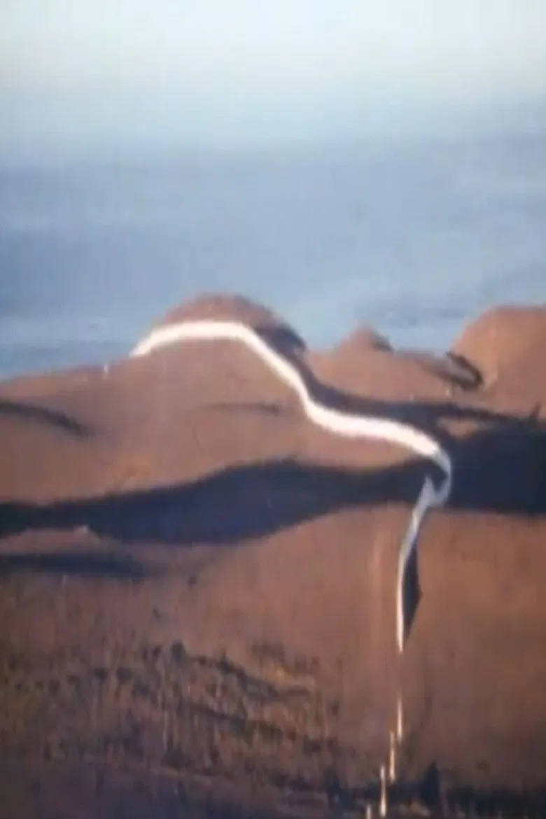 Christo Running Fence Reels poster background