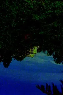 In the Autumn Before the Winter Comes Man's Last Made Surge of Youth poster background