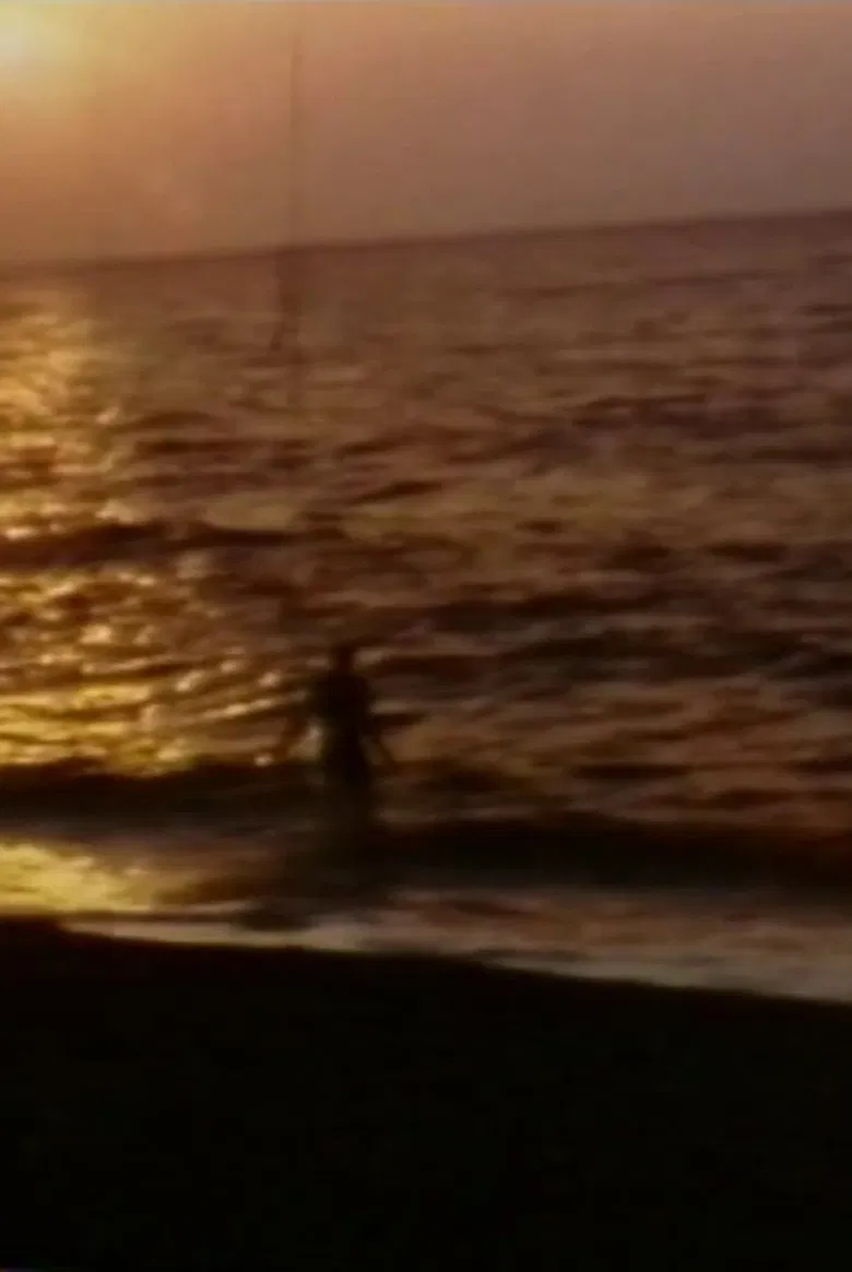 Beach House poster background