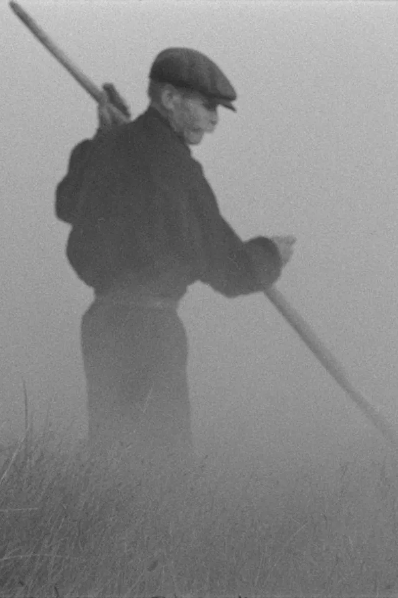 The Old Man and the Land poster background