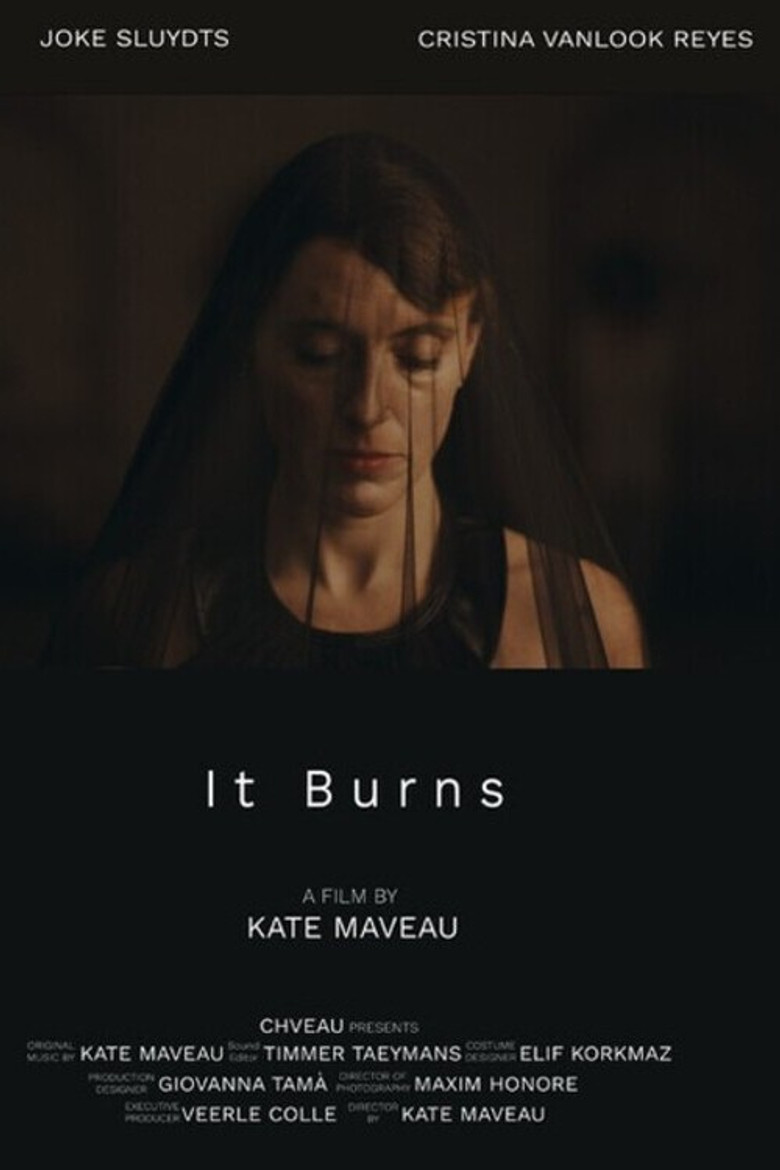 It Burns poster background