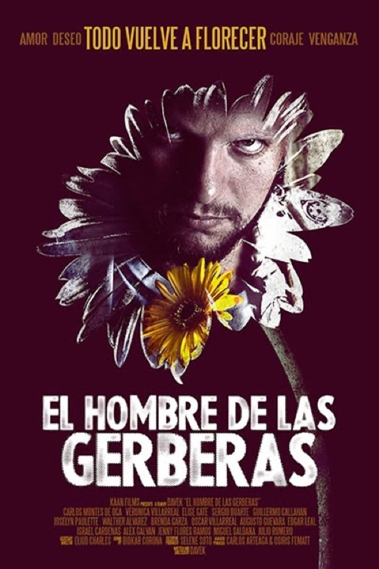 The Man of the Gerberas poster background