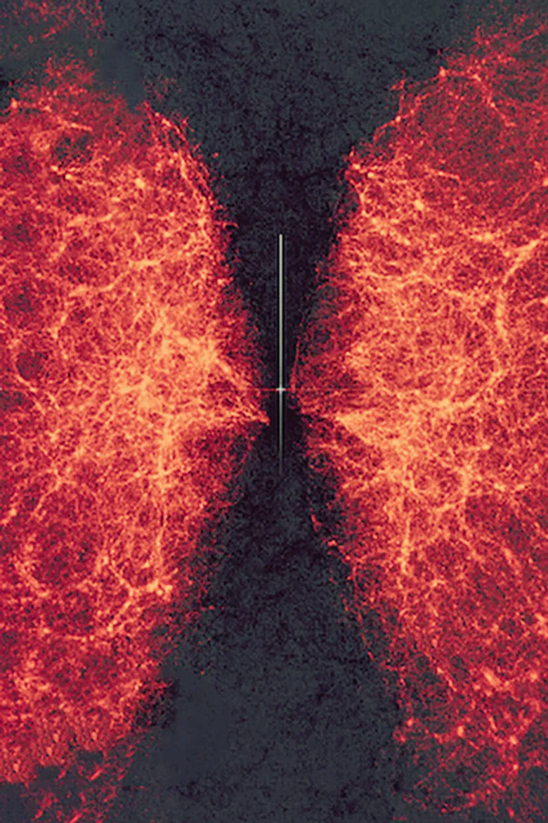 data-verse 1 poster background