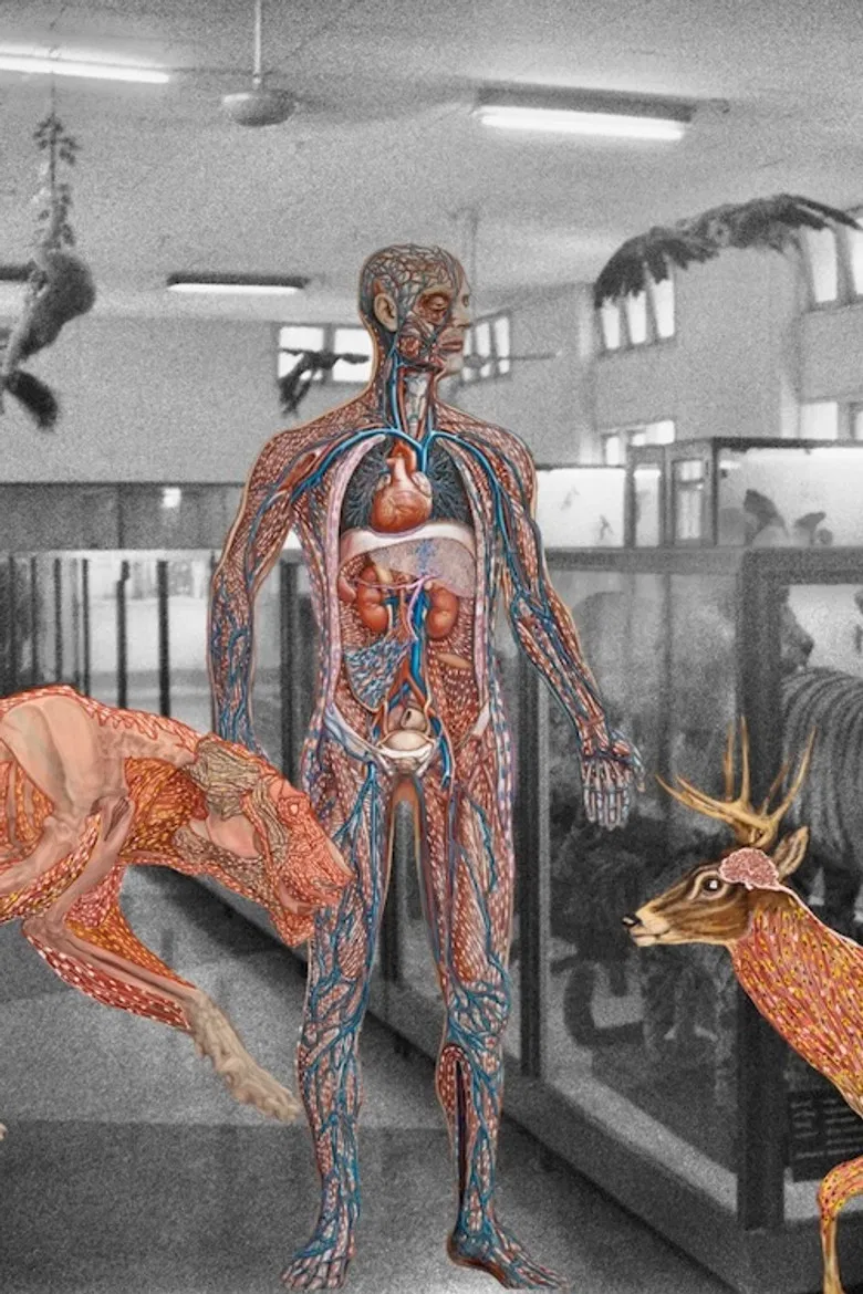 Myanmar Anatomy poster background