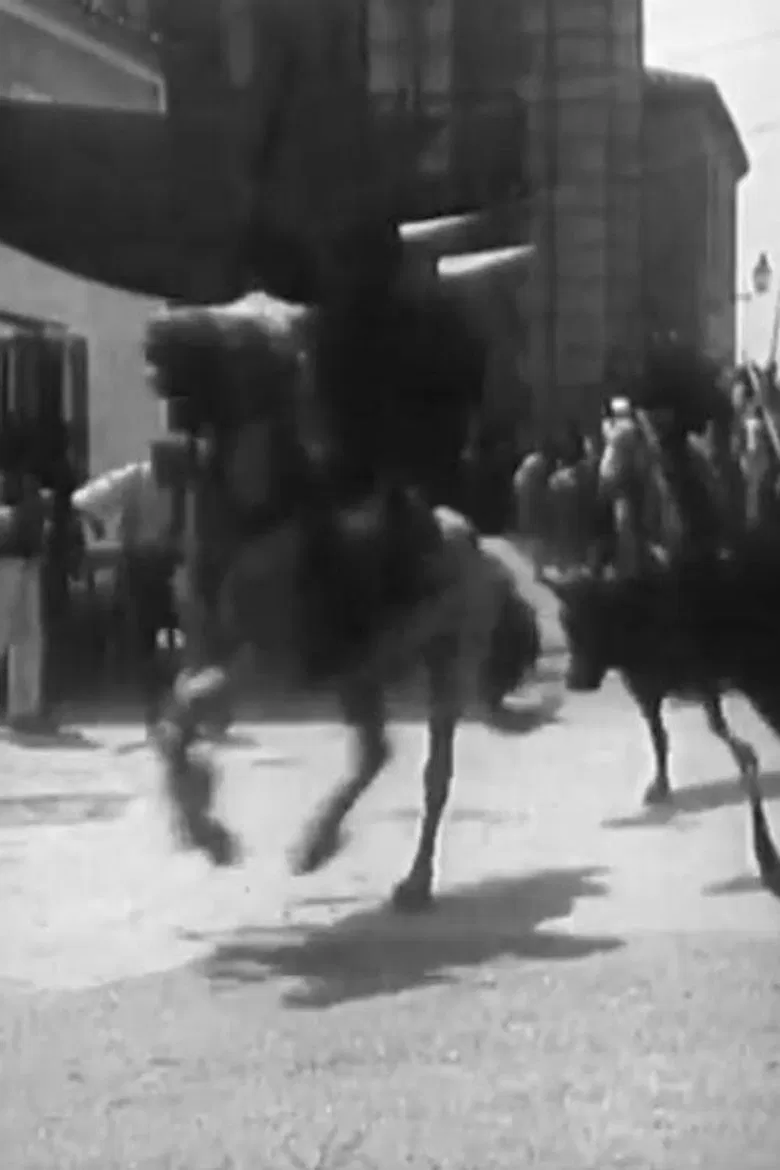 Course de taureaux provençale poster background