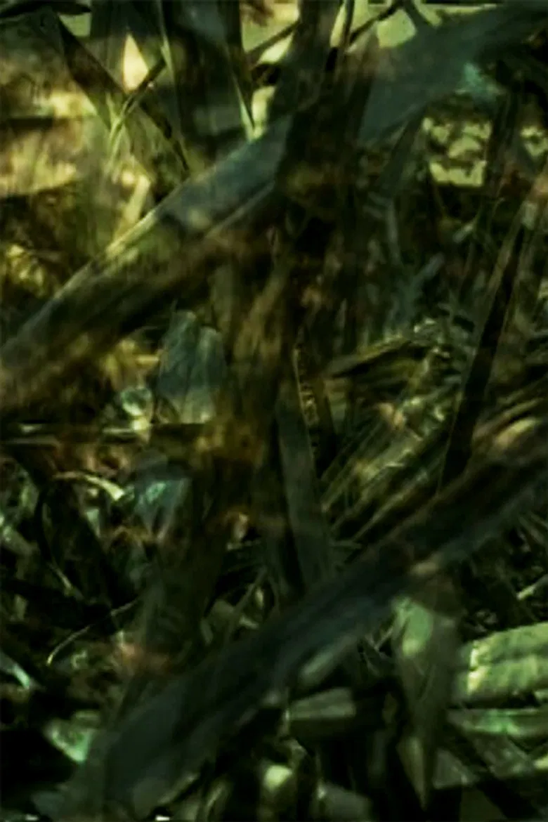 Reprieve poster background