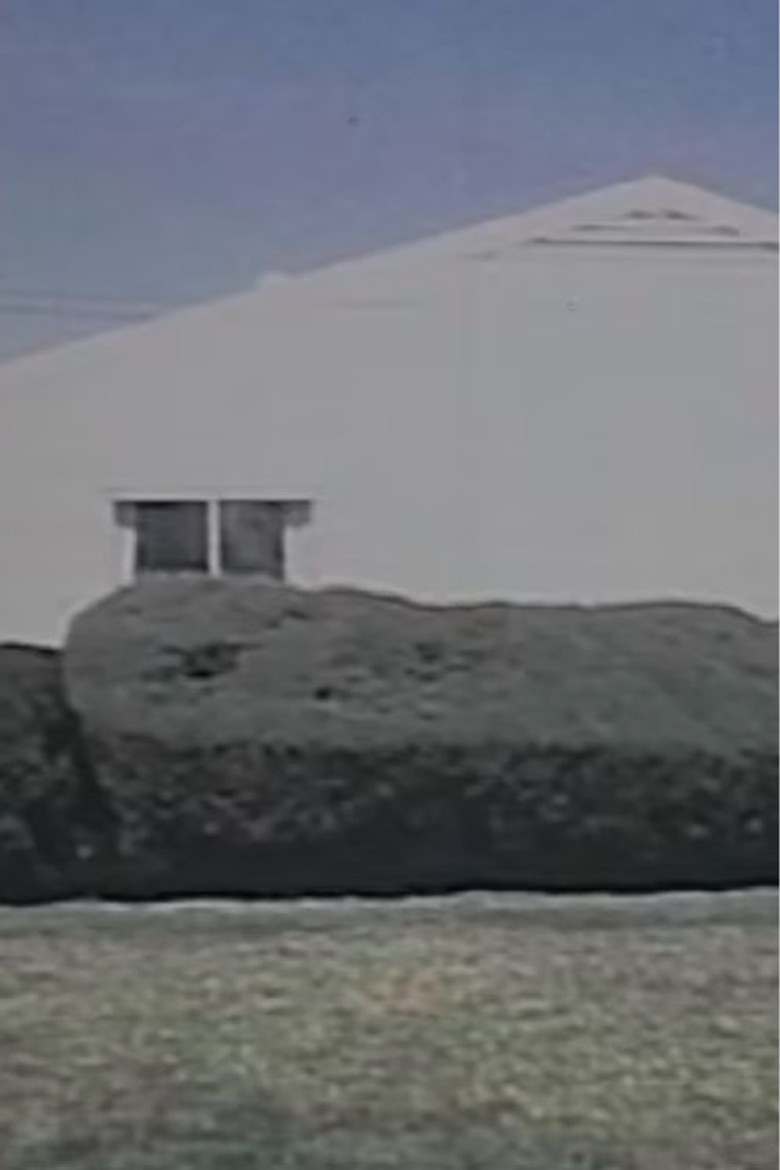 Homogeneity poster background