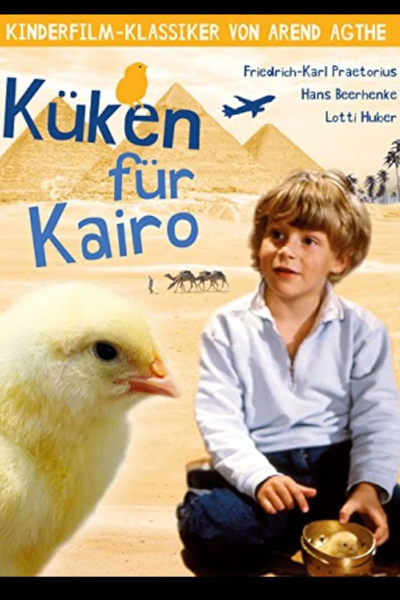 Chicken for Cairo poster background