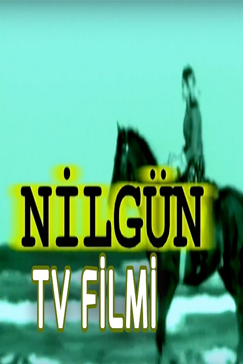 Nilgün poster background