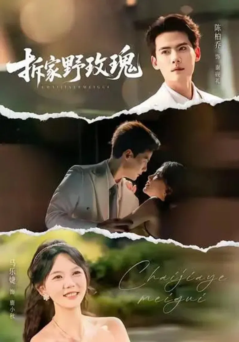 拆家野玫瑰 poster background