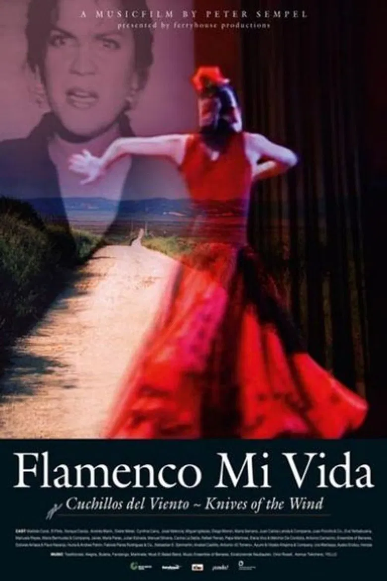Flamenco mi vida - Knives of the wind poster background