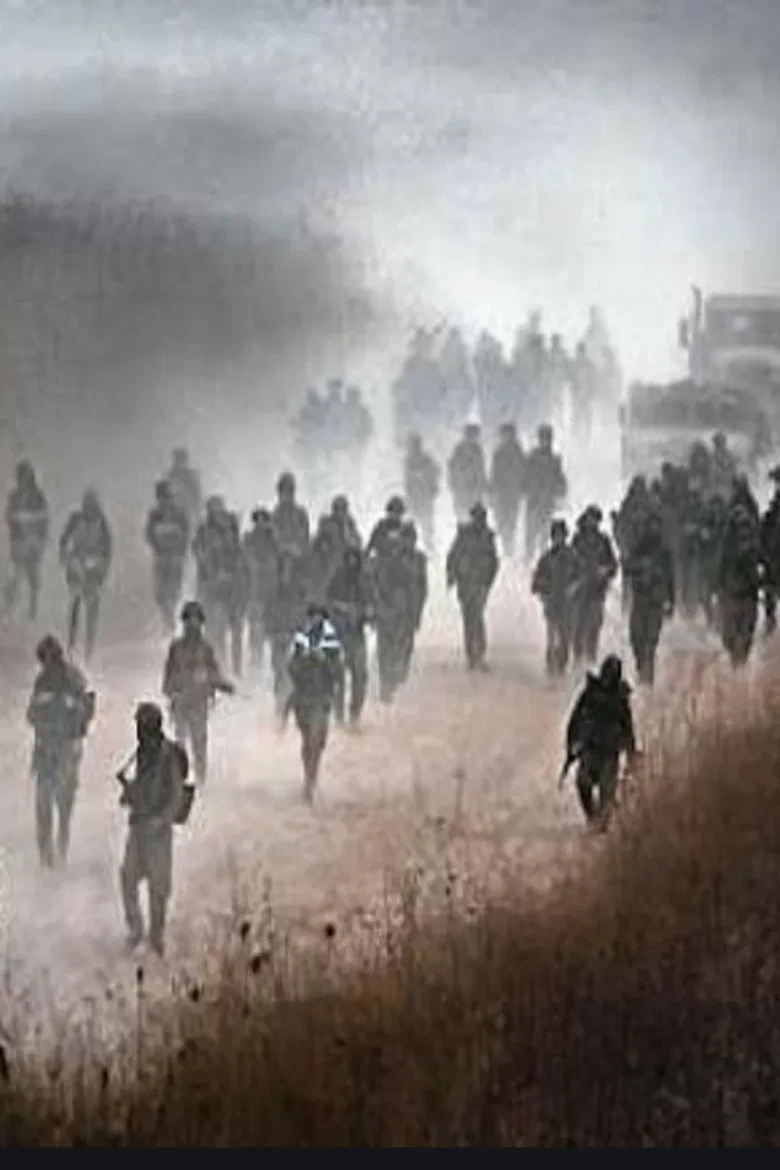 Meyl poster background