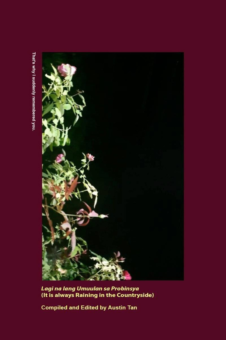 It Is Always Raining in the Countryside poster background