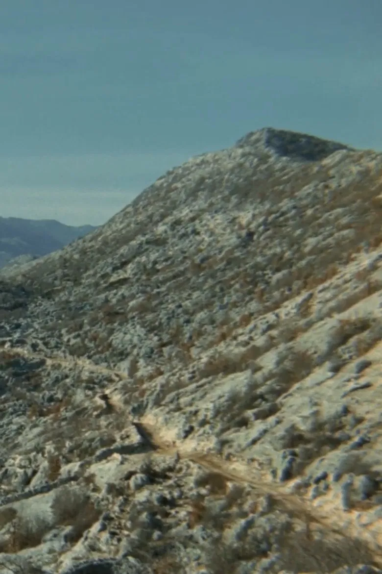 The Road poster background