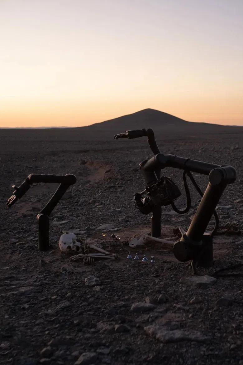 Camata poster background