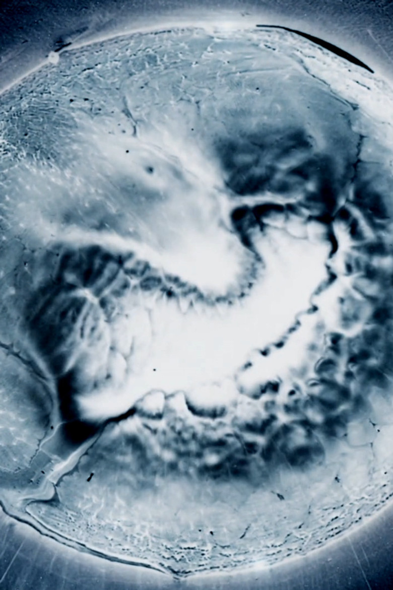 Skinship poster background