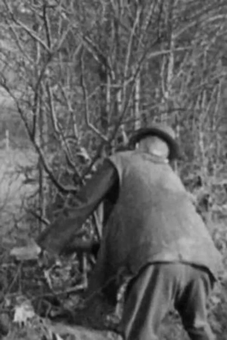 Hedging poster background