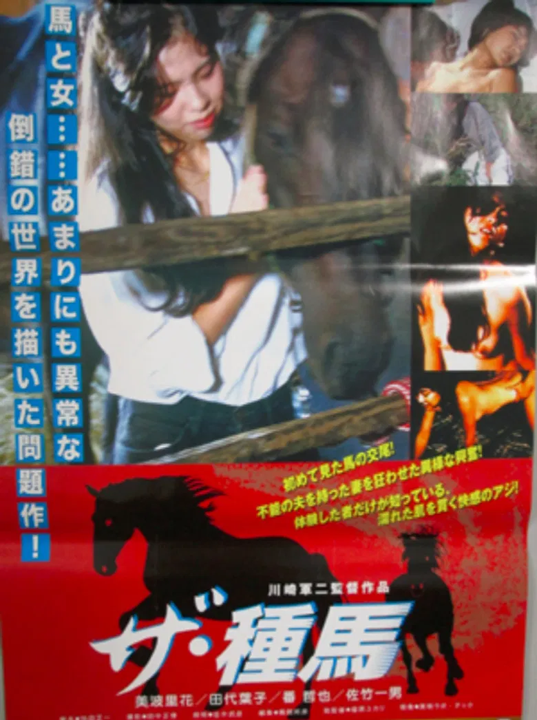 The Stallion poster background