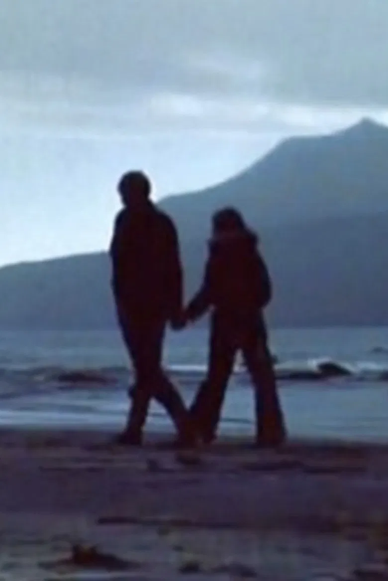 Heystblómur poster background