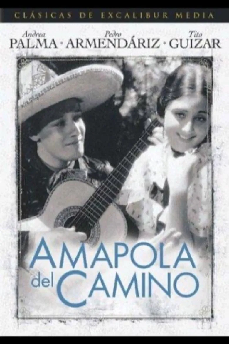 Amapola Del Camino poster background